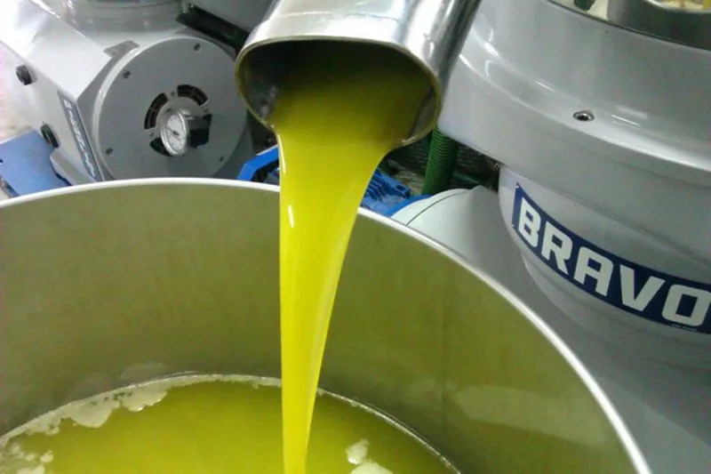 Frantoio in lavorazione: pasta di olive durante la spremitura a freddo e a caldo